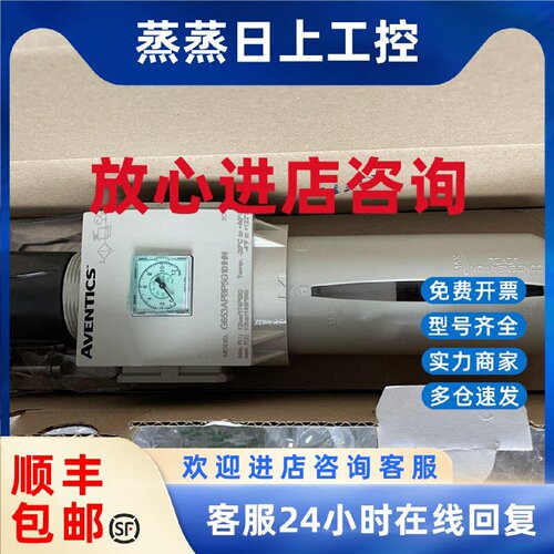 议价G653APBPG101HN  ASCO 过滤器，全新正品