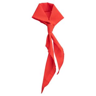 得力红领巾 小学生1-6年级通用手系打结1.2米大号涤纶速干透气绸缎三年级标准正品不褪色少先队入队红领巾