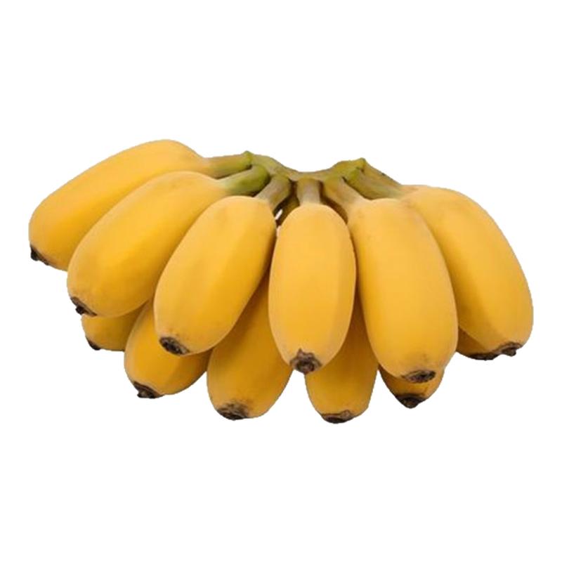軟糯好吃正宗蘋果蕉大果季節(jié)
