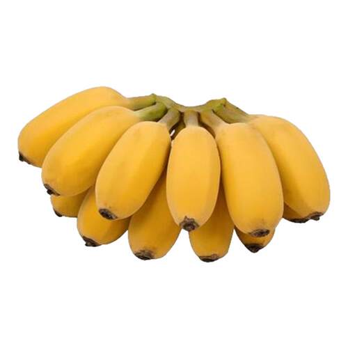 广西正宗苹果蕉粉蕉偏小季节饱满实惠香甜青的发货要催熟蛋蕉