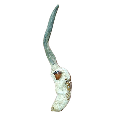 精选正宗野生独角金蝉花饱满500g