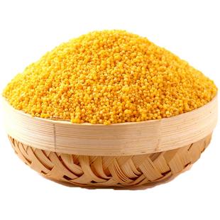 2025年新米内蒙古赤峰特产金苗小米粥杂粮吃的粮食5斤小黄米