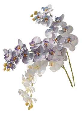 米子家居仿真蝴蝶兰假花仿真花
