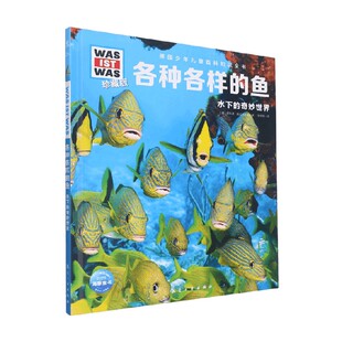 德国少年儿童百科知识全书 珍藏版 第3辑 各种各样的鱼 2022中航版 尼科莱·施拉夫斯基 著 科普百科
