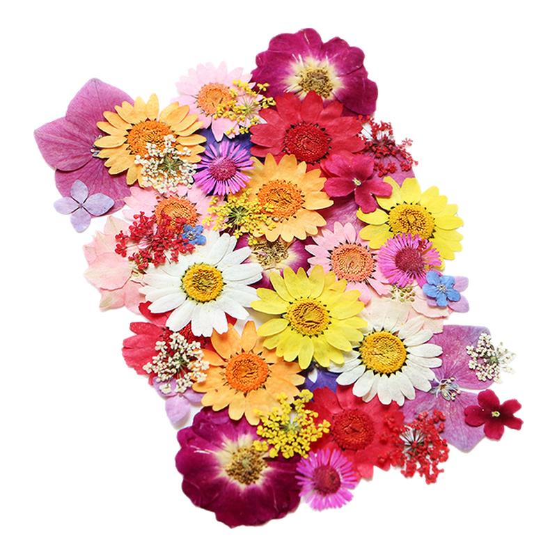 干花压花书签手工diy材料包植物标本滴胶押花婚礼贴画相框装饰品