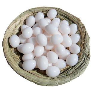 假鸽子蛋当真鸽子假蛋假鸽蛋信鸽用品实注水塑料信鸽假蛋赛鸽具