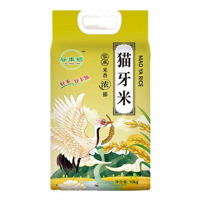猫牙米10斤南方正宗长粒猫牙香米蛋炒饭米长粒香米煲仔饭猫牙米