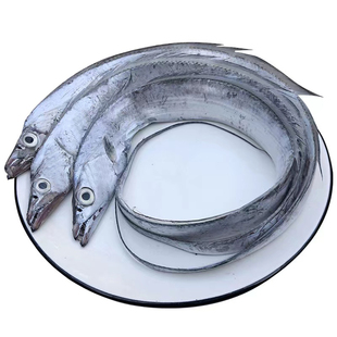 带鱼舟山特大整条新鲜冷冻鲜活海鲜水产东海雷达网小眼睛大带鱼级