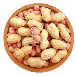 25年新鲜带壳生花生晒干5斤可做种子白沙带皮花生农家批可发芽菜