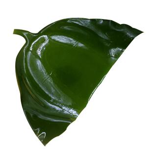 盐渍海带头5斤新鲜厚片荣成特海白菜级海带片丝根火锅半干货1/3斤