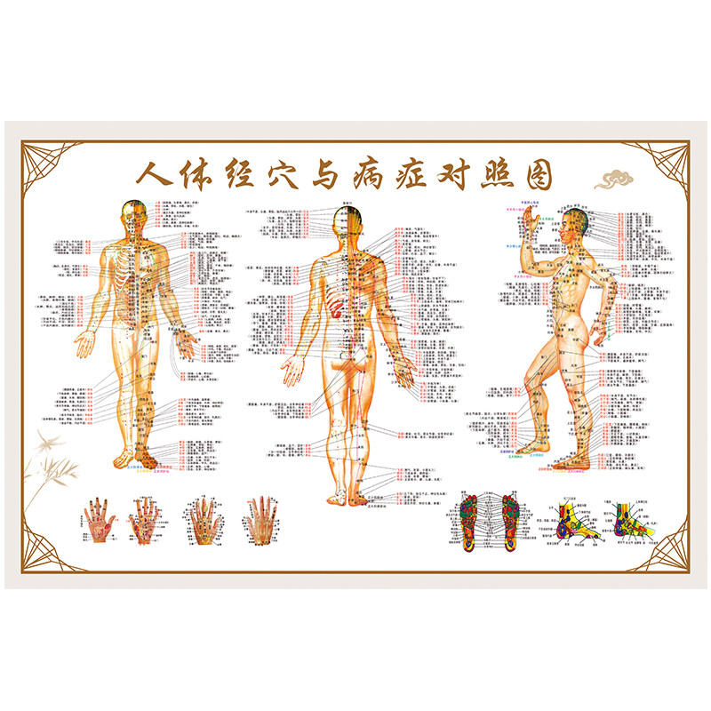 人体经络穴位标准大图中医人体经络穴位图全身高清艾灸脚底穴位图