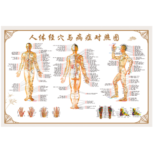 人体经络穴位标准大图中医人体经络穴位图全身高清经穴与病症对照