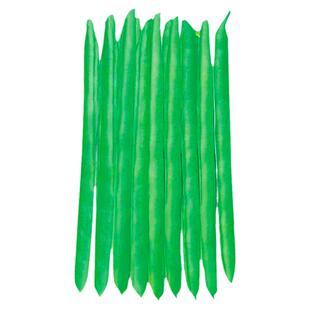 绿瀑布四季豆种子种籽芸豆扁豆眉豆豇豆蔬菜种孑春夏秋冬季