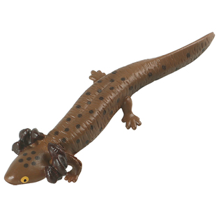 林畅模玩水生两栖动物玩具蝾螈模型海洋仿真四脚鱼类教学儿童认知