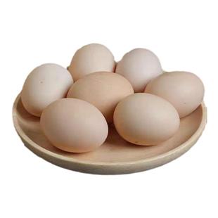 30枚 顺丰邮寄 清远正宗土鸡蛋新鲜农家散养土鸡蛋 草鸡蛋 可生食