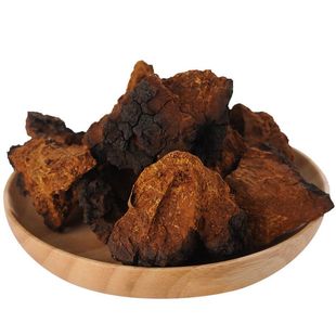 野生桦树茸正品俄罗斯进口白桦茸桦树茸黑金颗粒非长白山桦褐孔菌