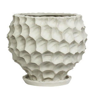 桌面陶瓷花盆块根创意多肉蝴蝶兰陶盆龟甲龙陶土山乌龟粗陶摆件