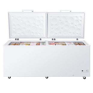 海尔369/519/829升大容量冰柜冷冻冷藏保鲜肉柜食品商用冷柜单温