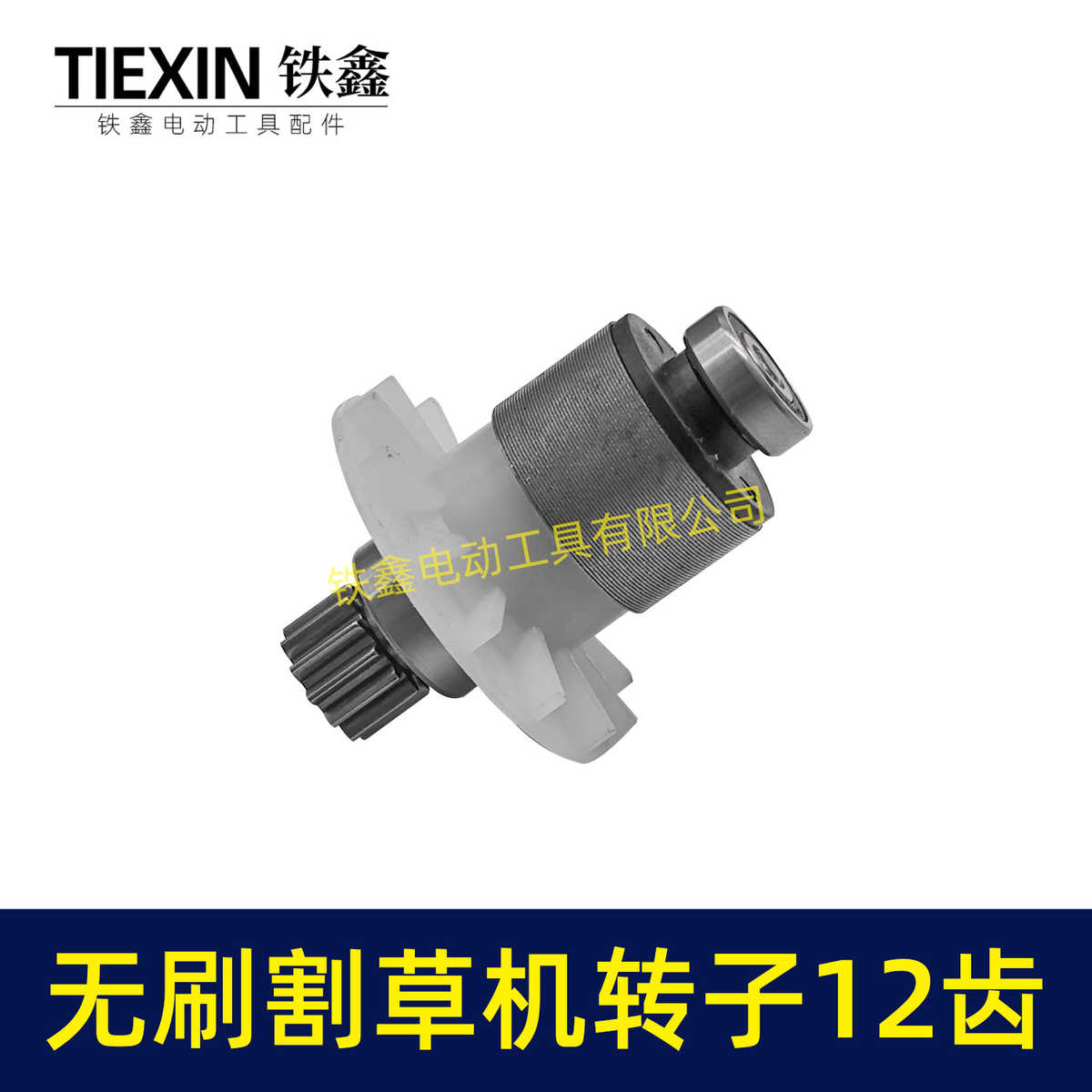 电动除草机21V无刷割草机电机12齿锂电打草机绿篱机转子05589