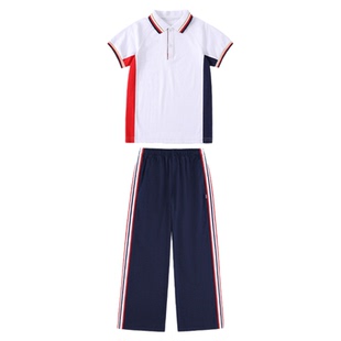 江西省吉安市统一校服款式新款小学生初中高中生夏季短袖长裤短裙