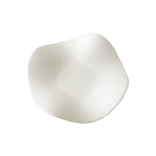 枝悟 ins高级感陶瓷置物盘不规则首饰展示盘文艺家居摆件拍照道具