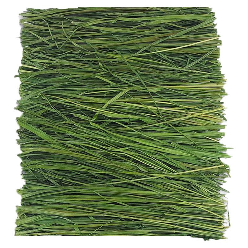 烘干燕麦草兔子草荷兰猪龙猫粮食
