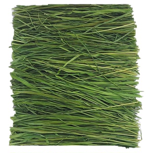 7A烘干黄金燕麦草草段兔子草龙猫荷兰猪粮食兔粮饲料干草磨牙岷县