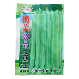 豆角种籽大全小叶油青长无架白红高产豇豆新蔬菜种子孑春夏四季播