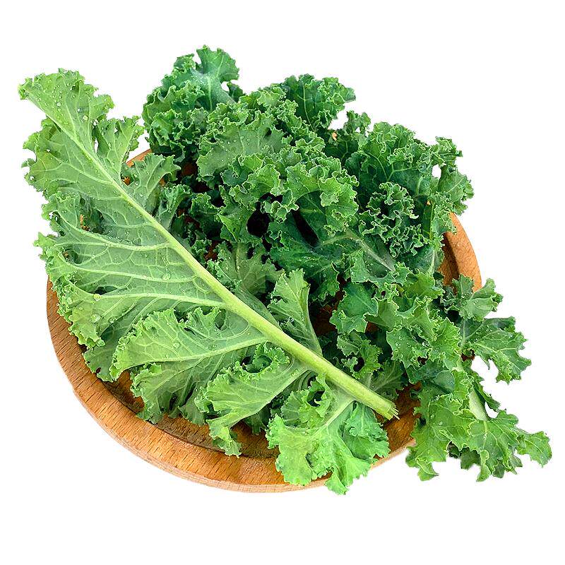 绿食者 羽衣甘蓝500g 新鲜榨汁蔬菜 Kale 嫩叶芥蓝菜沙拉蔬菜