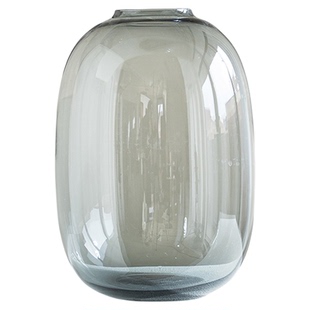 花瓶玻璃轻奢高级感透明水培雪柳鲜花专用小口径大肚插花装饰摆件