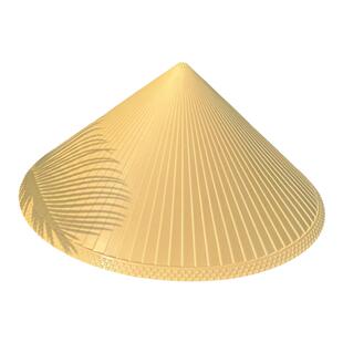 大檐硬质塑料斗笠遮阳帽子女环卫劳动夏季防雨帽采茶舞蹈钓鱼帽男