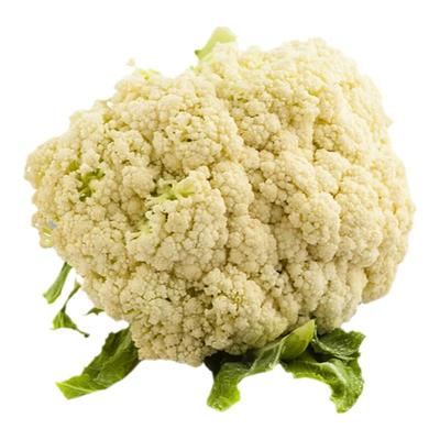 燎原绿色菜花花菜绿色蔬菜新鲜