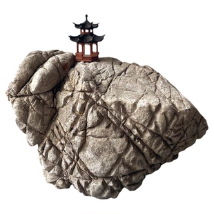 精选天然龟纹石水陆鱼缸石头一石一拍乌龟爬石桌面景观干景造景石