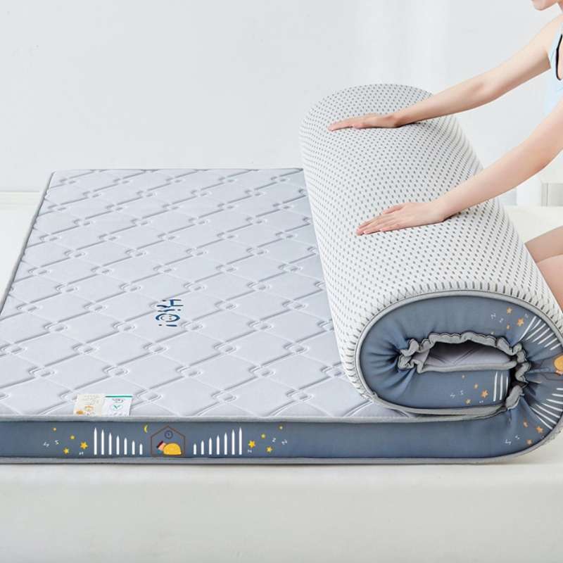 乳胶记忆棉床垫软垫家用租房专用海绵床垫学生宿舍单人地铺睡垫