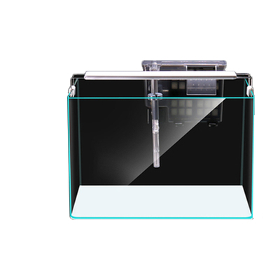 热弯超白鱼缸免换水懒人生态鱼缸