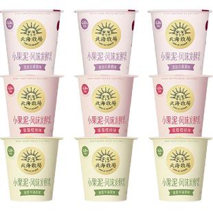 【北海牧场超级桶】小果泥酸奶草莓樱桃味+香蕉牛油果味