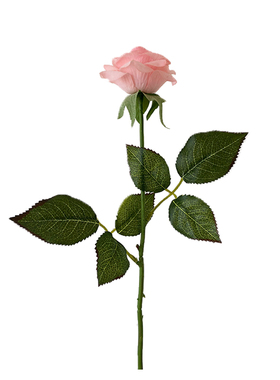 番茄森森*ins情人节摆拍保湿花束