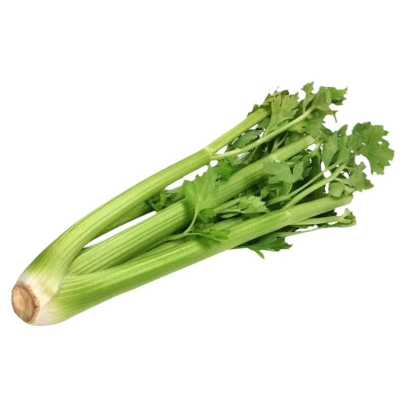 正宗四季西芹秧苗大芹菜西芹苗