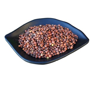 中药材炒莱菔子500g生莱菔子粉白萝卜籽茶熟货比同仁堂三子养亲汤