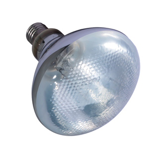 Knowing诺茵爬宠全光谱太阳灯UVA+UVB爬虫晒背陆龟鬃狮蜥蜴UVB灯