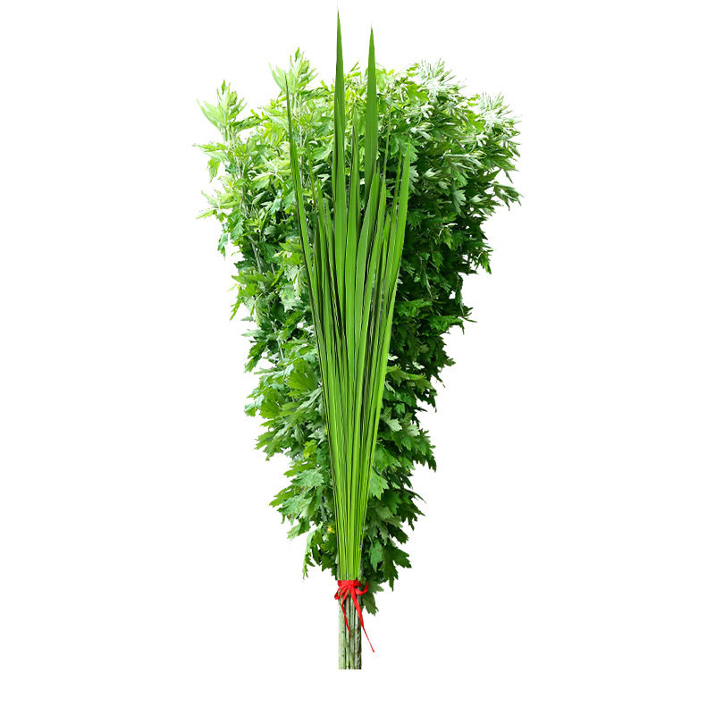 端午节艾草门挂新鲜整棵艾叶菖蒲