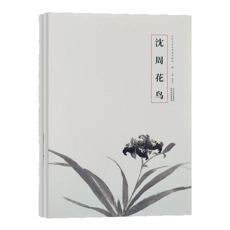 历代名家绘画册页精选 沈周写意山水画工笔花鸟画临摹技法 国画初学者零基础入门教程 文人山水花鸟画临摹范本 艺术收藏鉴赏画集