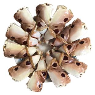 4斤海捕馒头大蟹钳元宝大蟹脚现捕现拆面包大蟹脚海鲜冷冻水产