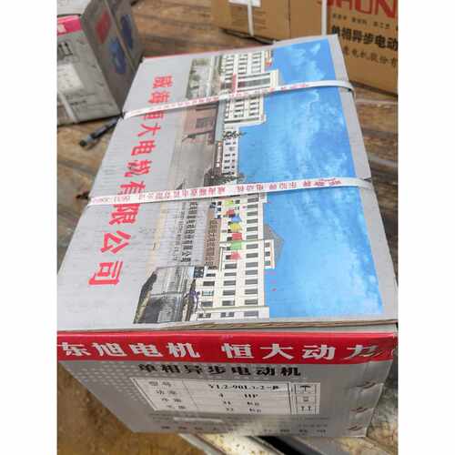 东旭电机恒大动力YL290L12B单相异步电动机