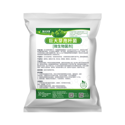 巨大芽孢杆菌解磷提高肥效抗重茬