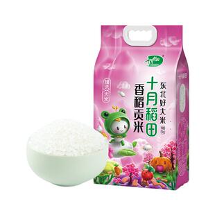 25年新米十月稻田香稻贡米5kg东北粳米饭团寿司紫菜包饭用米官方