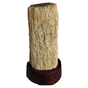 水玉冰魄天然树化石摆件 木化石 树化玉木化玉硅化木 原石