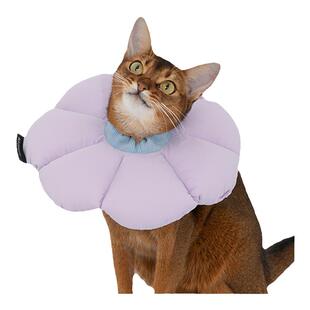 HiDREAM伊丽莎白圈猫咪软头套猫咪绝育幼猫防舔防咬防水狗耻辱圈