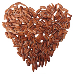 2025新瓜子云南红皮瓜子南瓜子新货葵花籽饱满香甜软糯包邮