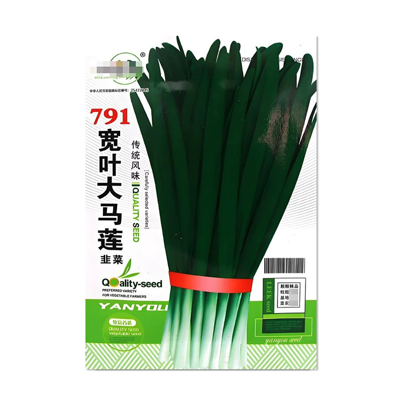 中研盛优791宽叶大马莲韭菜种子